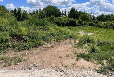 Comision 0% Teren Intravilan 1.000 mp, Galata, Iasi - 3