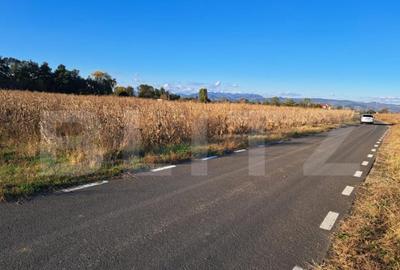 Teren extravilan cu poten?ial IMENS de dezvoltare in BAC - 2