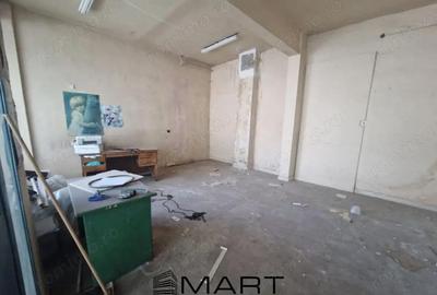 Spatiu de inchiriat in zona Terezian - 4