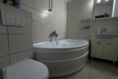 Apartament cu 2 camere, mobilat în Timpuri Noi - 6