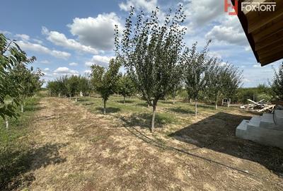 COMISION 0% Casa individuala cu 3 camere si teren de 752 mp -  Mosnita - 8