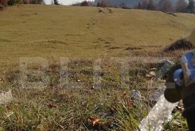 Teren de vanzare, Scarisoara, ideal pentru cabana - 4