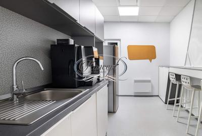 Spatii de birouri la standarde Occidentale - 4