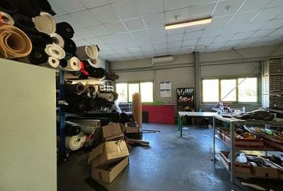 Hala 5000 mp dotata pentru productie si depozitare ISU categoria D - 3