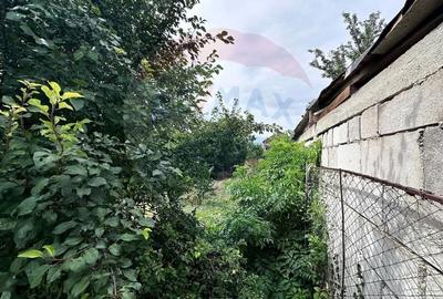 Teren Construcții intravilan de 900 mp, în Ciorogârla - 6