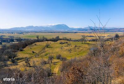 Teren de 60100 mp, în Central - 3