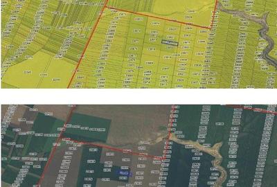 Teren extravilan Zimnicea cota parte 1/6 ID: R2688418 Teren extravilan Zimnicea cota parte 1/6 ID: R2688418 - 6