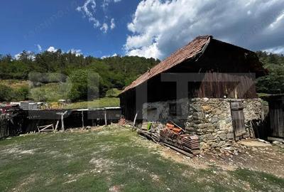 Casa cu 6000 mp teren, Poiana Ampoiului - Metes - 3