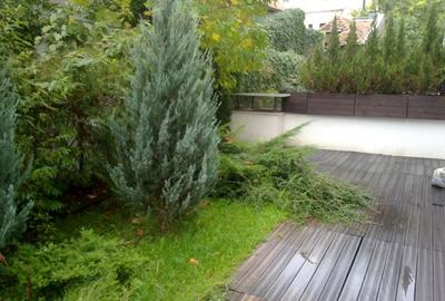 Aviatorilor Modrogan - 8