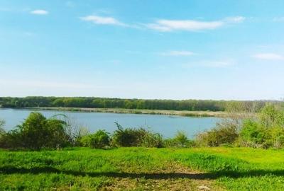 Teren intravilan de 10000 mp, în Grădiștea - 16