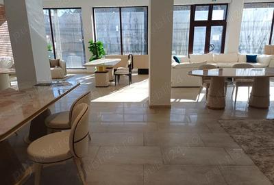 Spațiu comercial, de 485 mp, în Șagului - 1