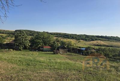 Evadare Verde langa Oradea - Casa cu Potential Turistic si Peisaj Natural