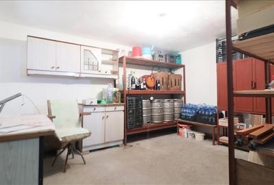 Casa deosebita in V.Lupului Casa deosebita in V.Lupului - 16