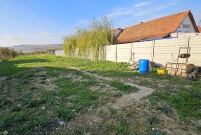 Teren intravilan (loc de casa), Com. Ineu Bihor 1186mp - 11