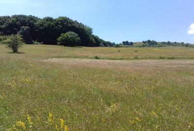 Vand teren intre Popesti si Corusu(jud. Cluj),in apropierea padurii - 3