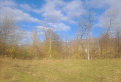 Vând teren 3 euro mp MEHADIA - 4