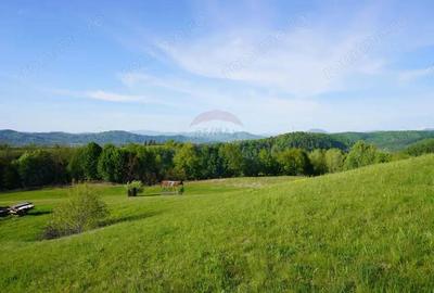 Teren 38,592mp Sighetu Marmatiei / Strada Mocani?ei - 14