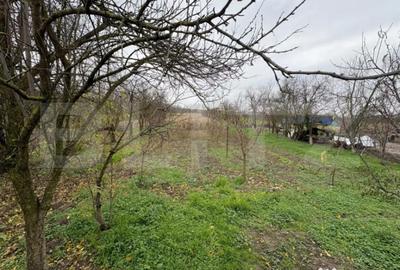 Casă cu 3 camere cu Teren 2434 Mp în Bercu - 8