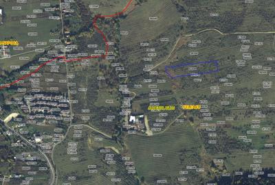 Teren intravilan in Feleacu, zona Aroma, 11393mp - 2