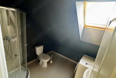 Apartament tip studio 60 mp - mansarda - direct proprietar - 2