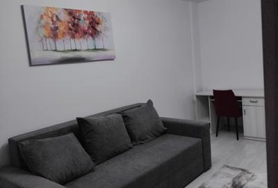 Apartament cu 2 camere decomandat în Iancului - 5