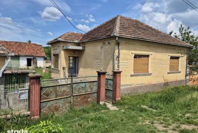 Casă cu 4 camere cu Teren 864 Mp în Bârzava - 13