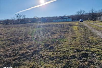 Spațiu comercial, în Sărata - 6