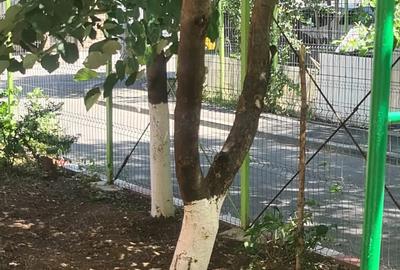 Vand apartament 2 camere cf 3 zona Rahova Zabrauti - 5