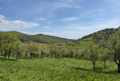 Teren Construcții intravilan de 8330 mp, în Inuri - 7