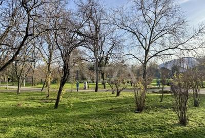 3 camere la intrarea in Parcul Circului, bloc anvelopat - 14