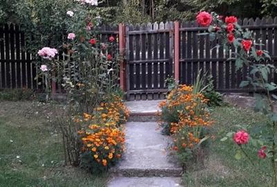 Casă cu 2 camere cu Teren 1800 Mp în Posești - 1