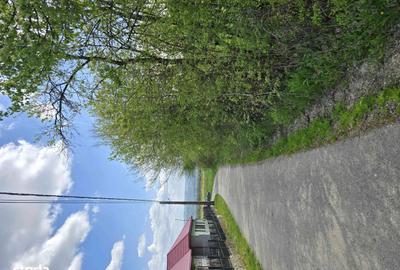 Spațiu comercial, în Ulieș - 7