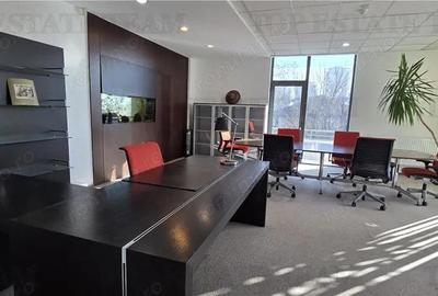 Splaiul Unirii - TImpuri Noi inchiriere spatiu birouri 7 locuri de parcare terasa - 18