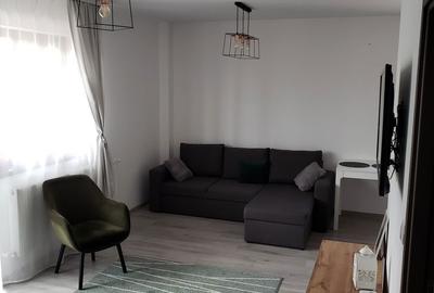 Garsonieră decomandată în Vișan - 3