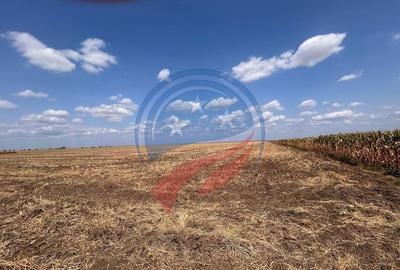 Teren de 5041 mp, în Pielești - 9