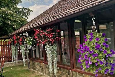 CASA\VILA DE VANZARE \COM. OBREJA\SAT IAZ\CARA?-SEVERIN - 4