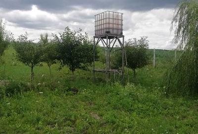 Teren de 2350 mp, în Burdujeni - 7