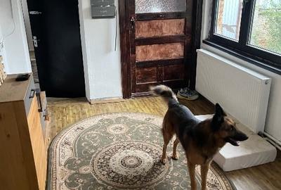 Casă de vânzare la 25km de Brașov - 6