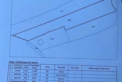 Teren de 4000 mp, în Ștubeiu - 5