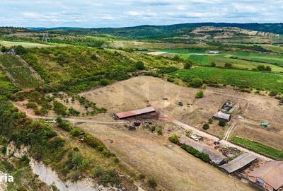 Spațiu comercial, în Șura Mare - 3