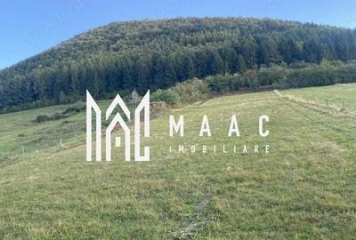 Teren Intravilan I 4129 MP I Gura Raului - 2