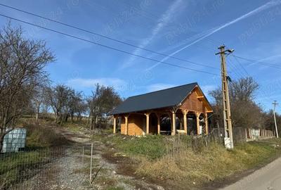 Casă cu Teren 2700 Mp în Livada (Petreștii de Jos) - 4