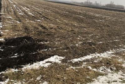 Spațiu comercial, în Satu Mare - 3