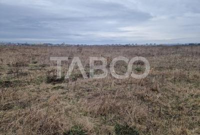 Teren intravilan 1500 mp zona Campsor cartierul Strand - 5