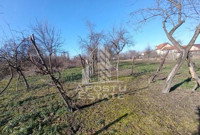 Casă cu 5 camere cu Teren 2158 Mp în Freidorf - 16