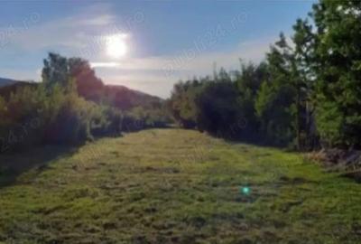 Casă cu 7 camere în Sadu - 4