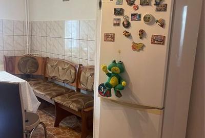 Apartament cu 2 camere decomandat în Paltiniș - 10