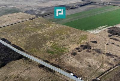 Teren de 9000 mp, în Sânmihaiu Român - 2