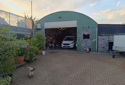 Vand Casa cu Service Auto Hala depozitare in Utvin - 4