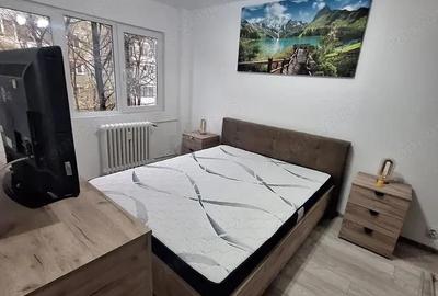 Apartament cu 2 camere decomandat în Gorjului - 3